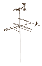 20180205-antena.gif